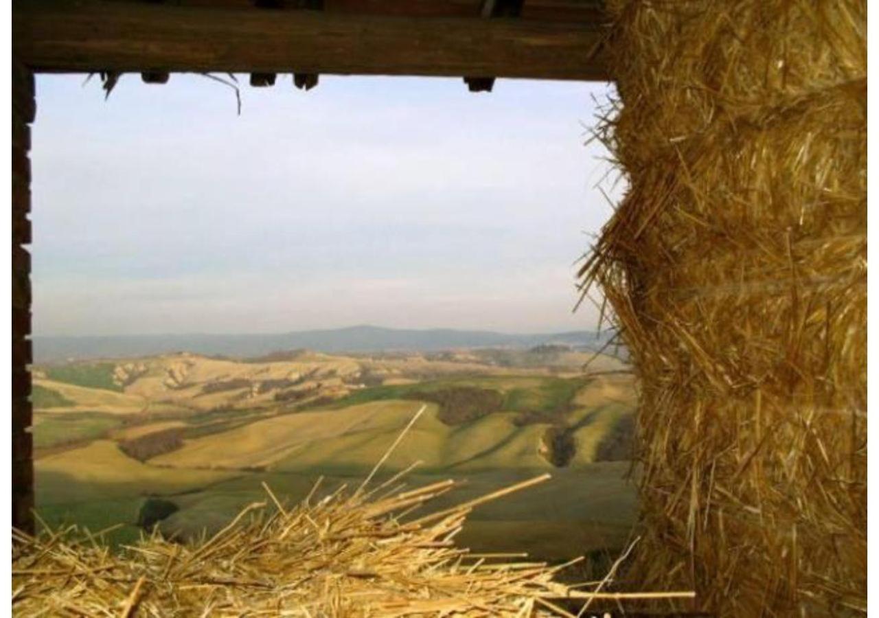 Agriturismo Le Crete Asciano Exterior foto
